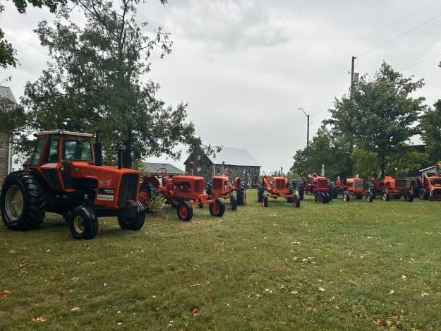 A row of vintage tractors on the grass (photograph from the JMAC Auctions website)
